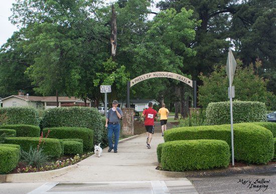 Phillip McDougal Trail